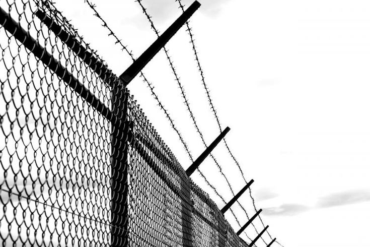High Quality Barbed Wire